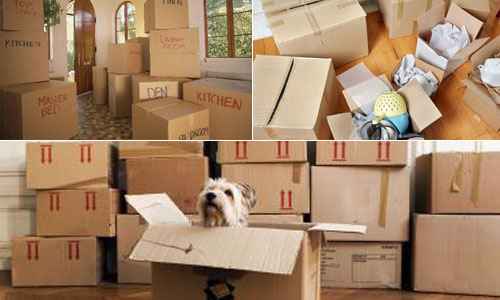 household-shifting-easy-with-professional-packers-and-movers-49